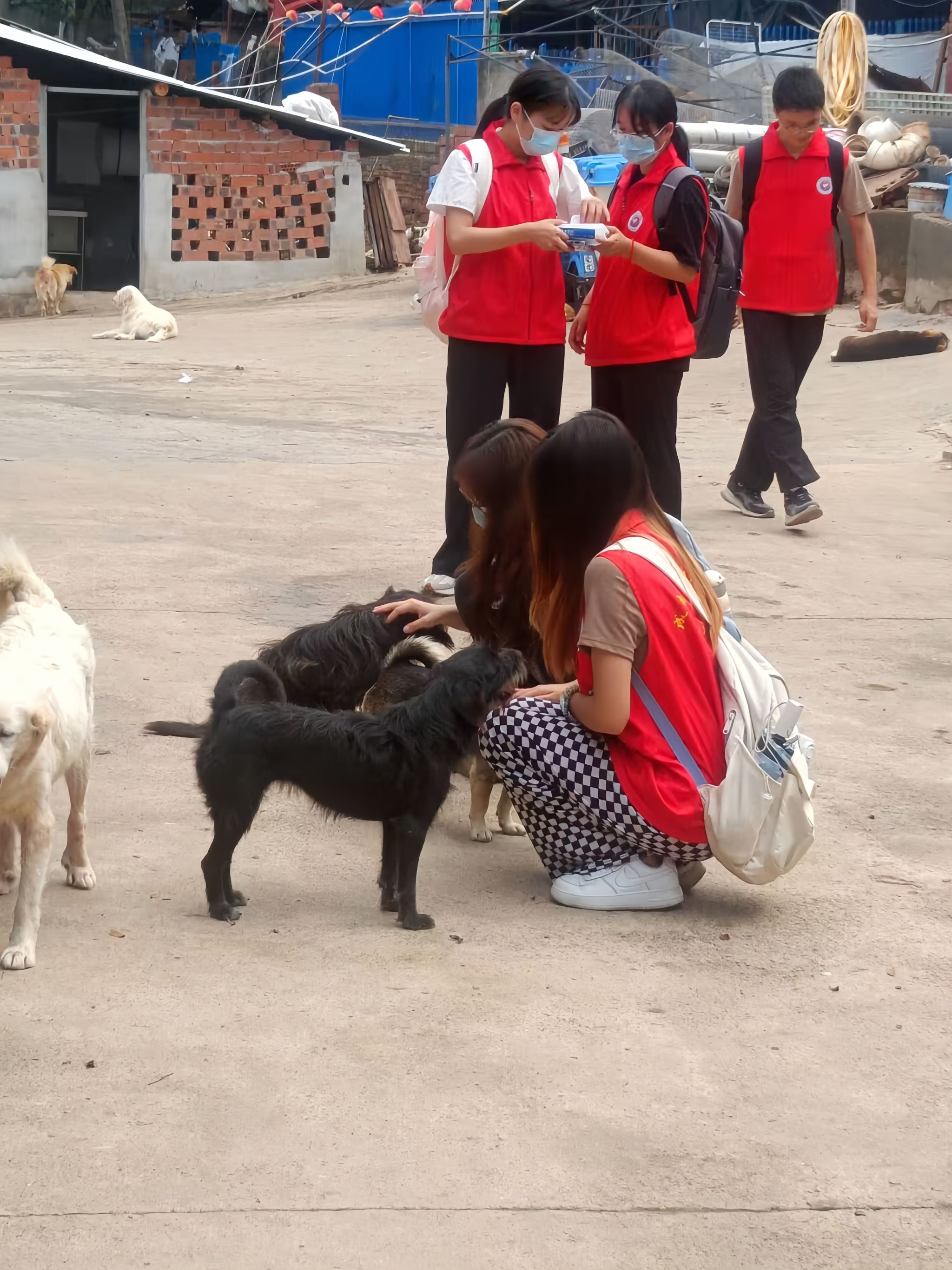 william威廉中文官网