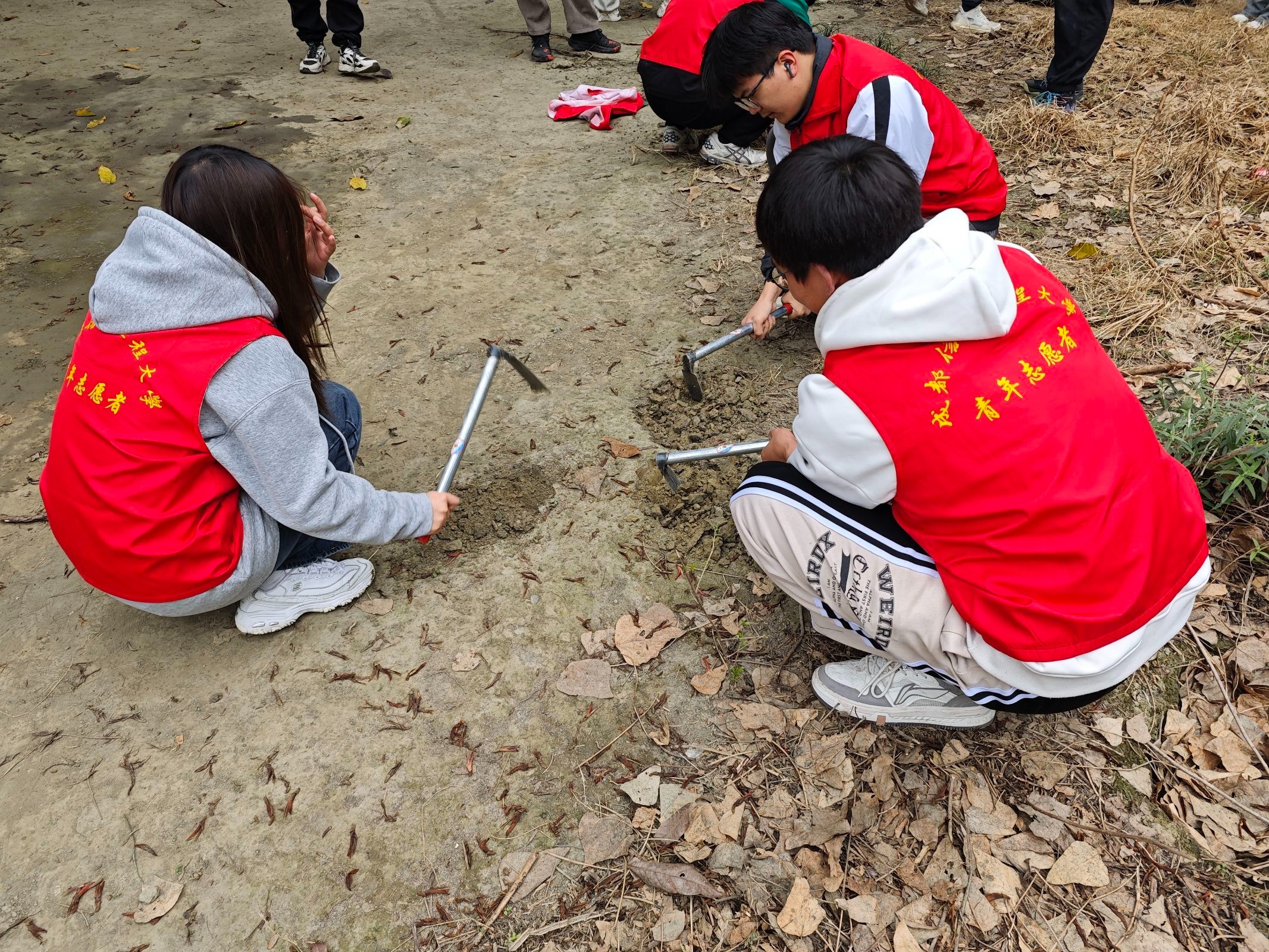 william威廉中文官网