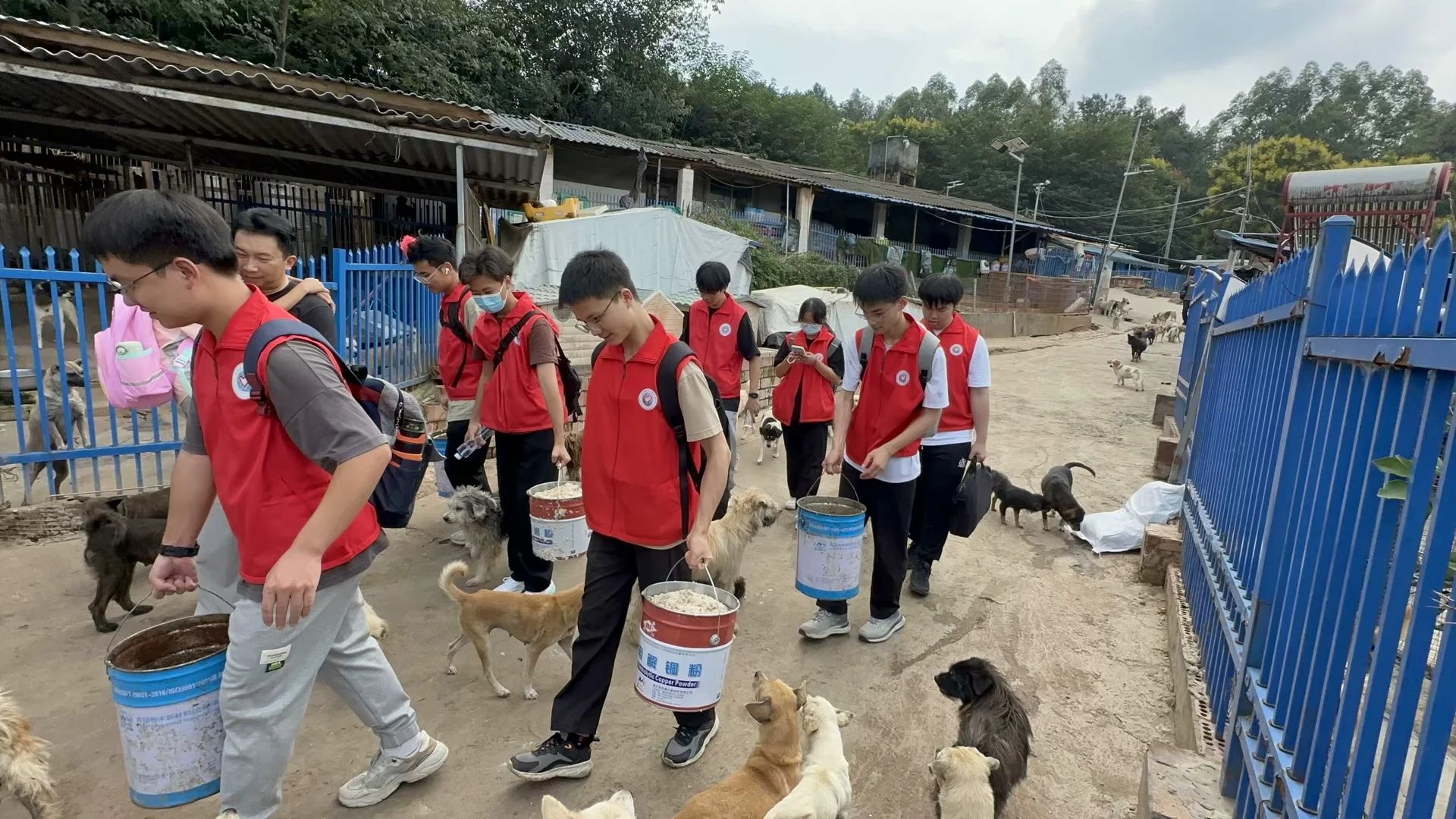 william威廉中文官网