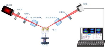 william威廉中文官网