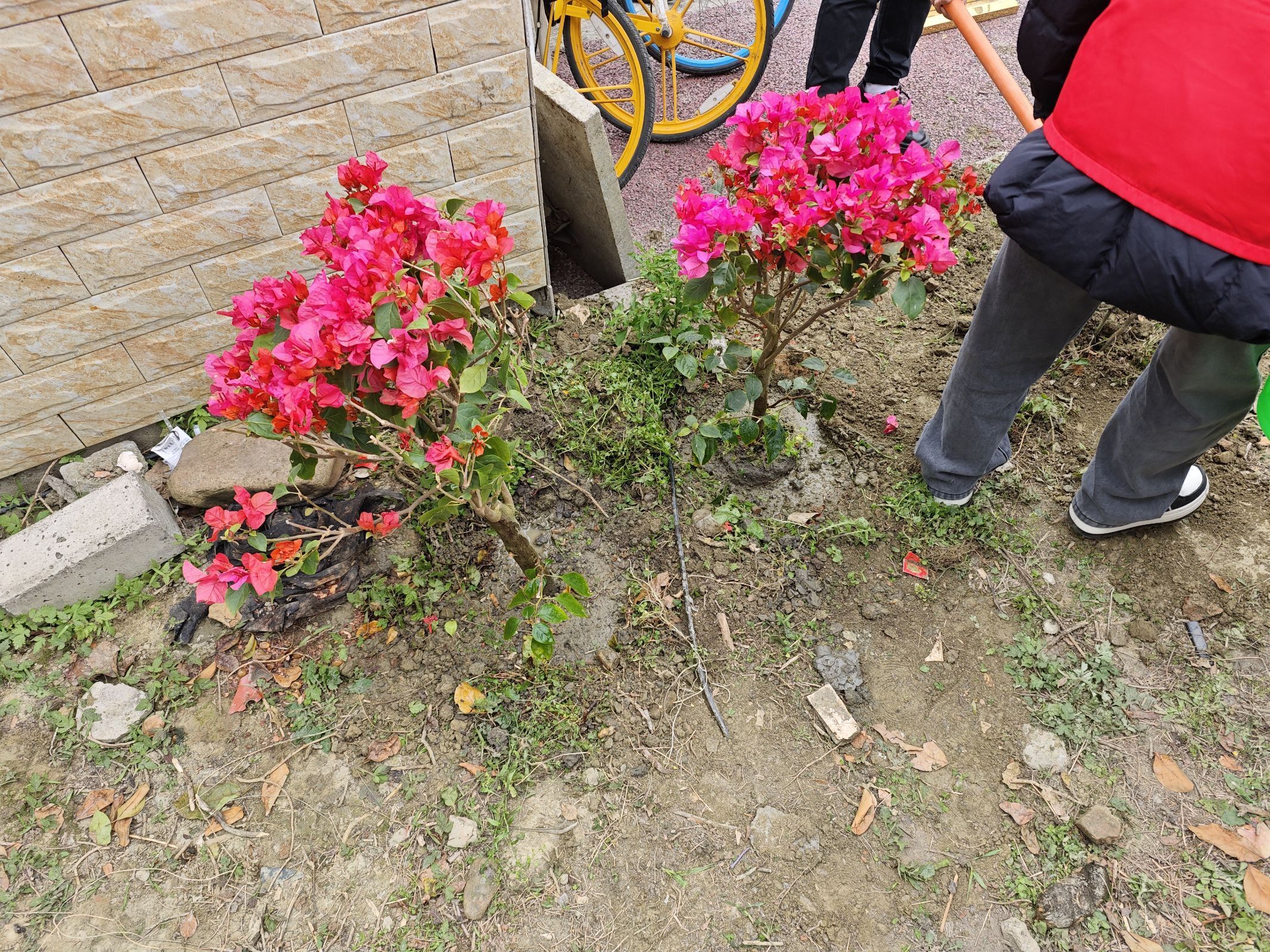 william威廉中文官网