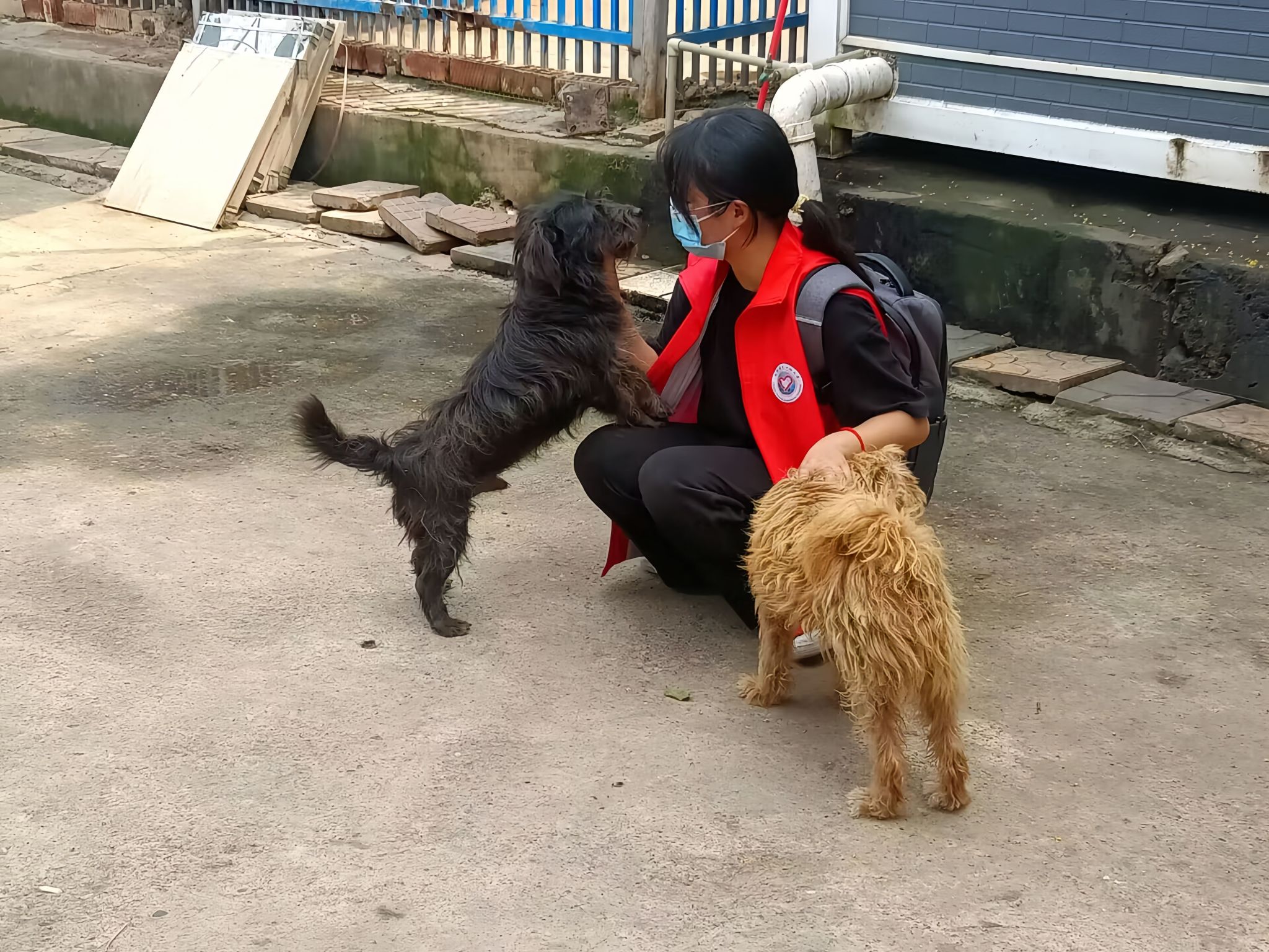 william威廉中文官网