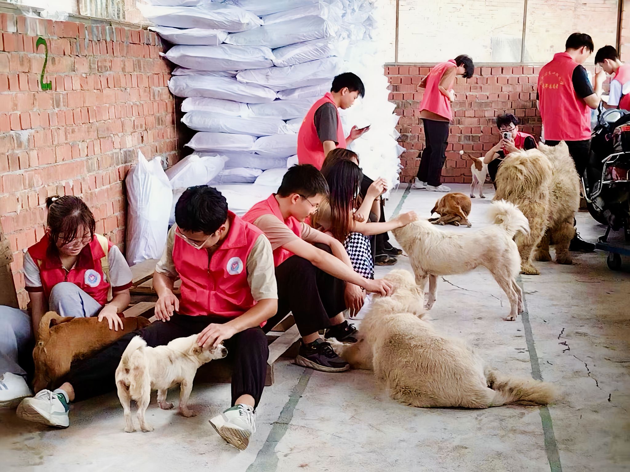 william威廉中文官网