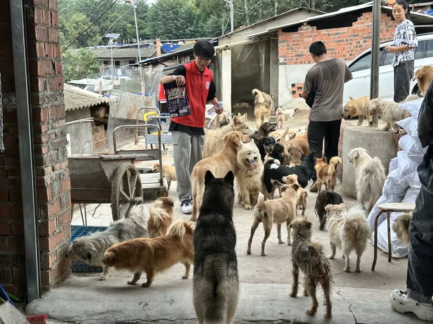 william威廉中文官网