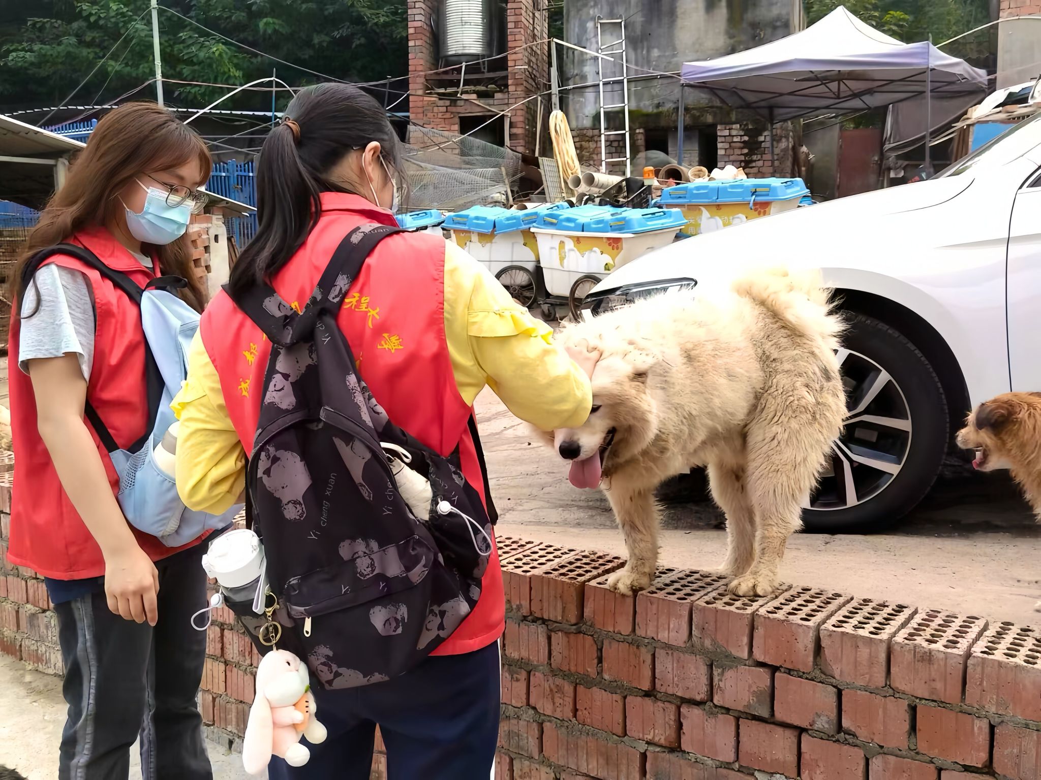 william威廉中文官网