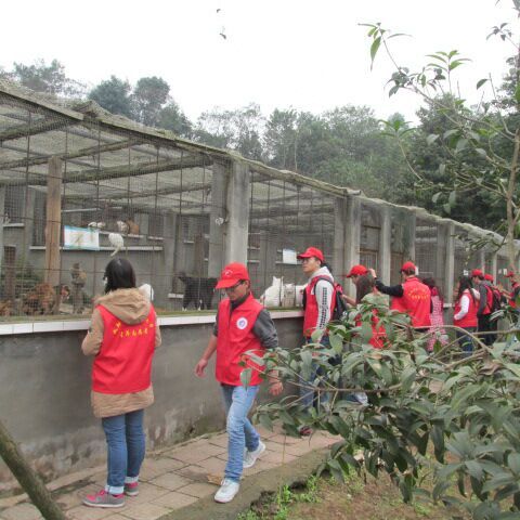 william威廉中文官网