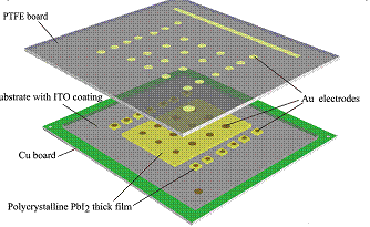 william威廉中文官网